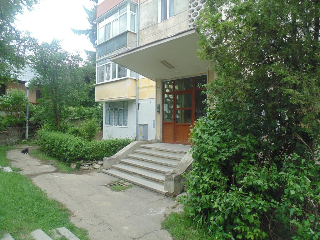 Lary Apartament Suceava Phòng bức ảnh