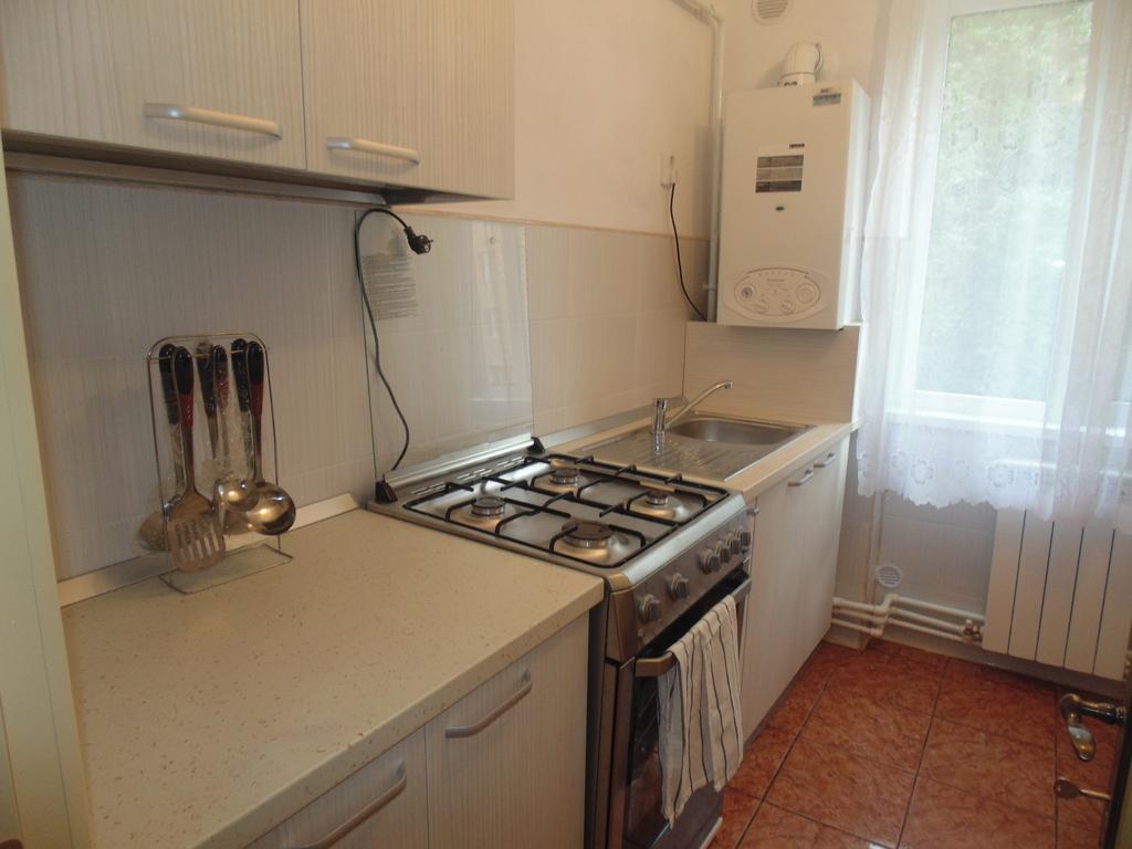 Lary Apartament Suceava Phòng bức ảnh