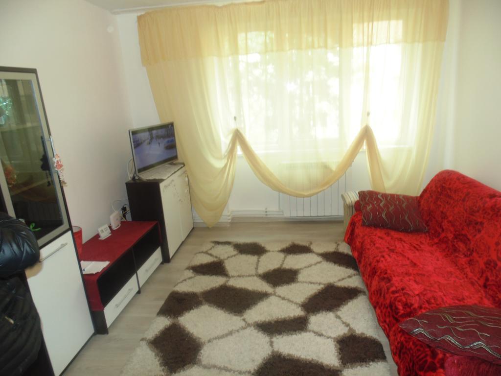 Lary Apartament Suceava Ngoại thất bức ảnh